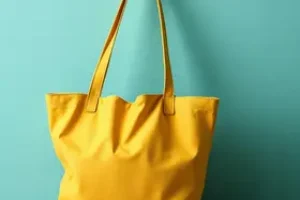 Bolsa Família Carapicuíba