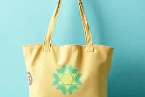Bolsa Família