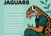 Jaguari abre inscrições para casas