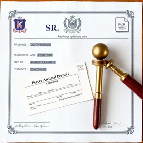 licença-prêmio de Curitiba