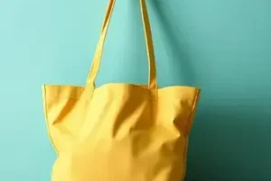 Bolsa Família