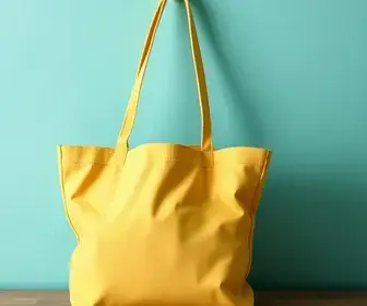Bolsa Família