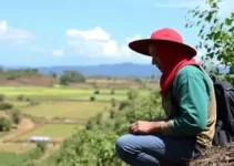 Saque Calamidade do FGTS