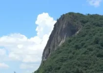 Refis de São José dos Campos