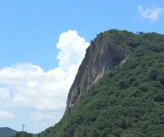 Refis de São José dos Campos